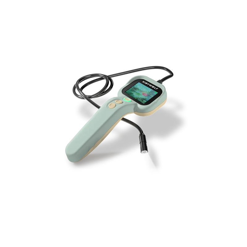 kidyexplorer verde · Kidywolf