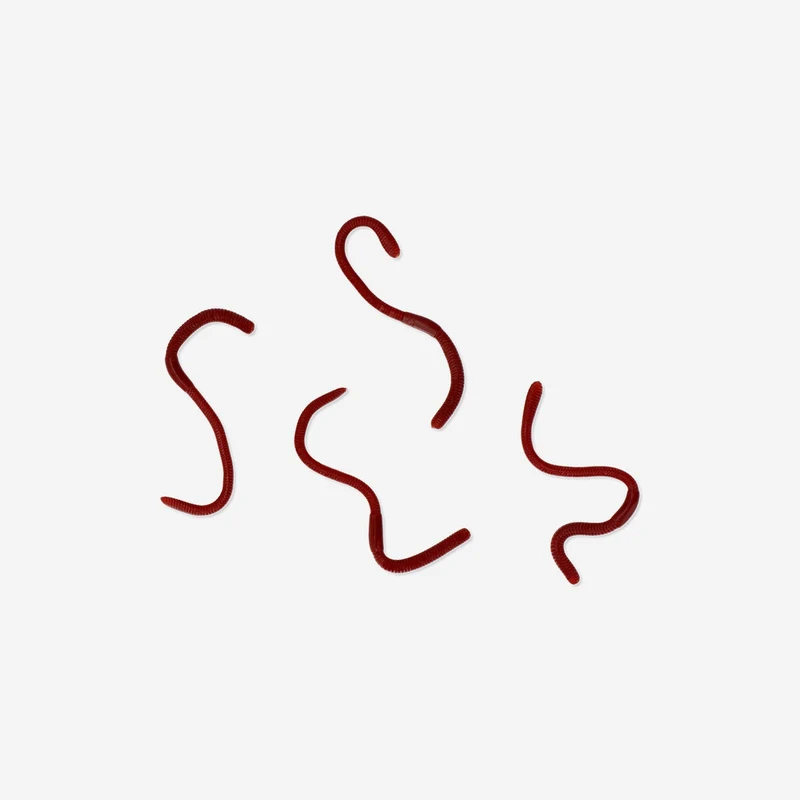 Sticky worms in a box - 4 pcs