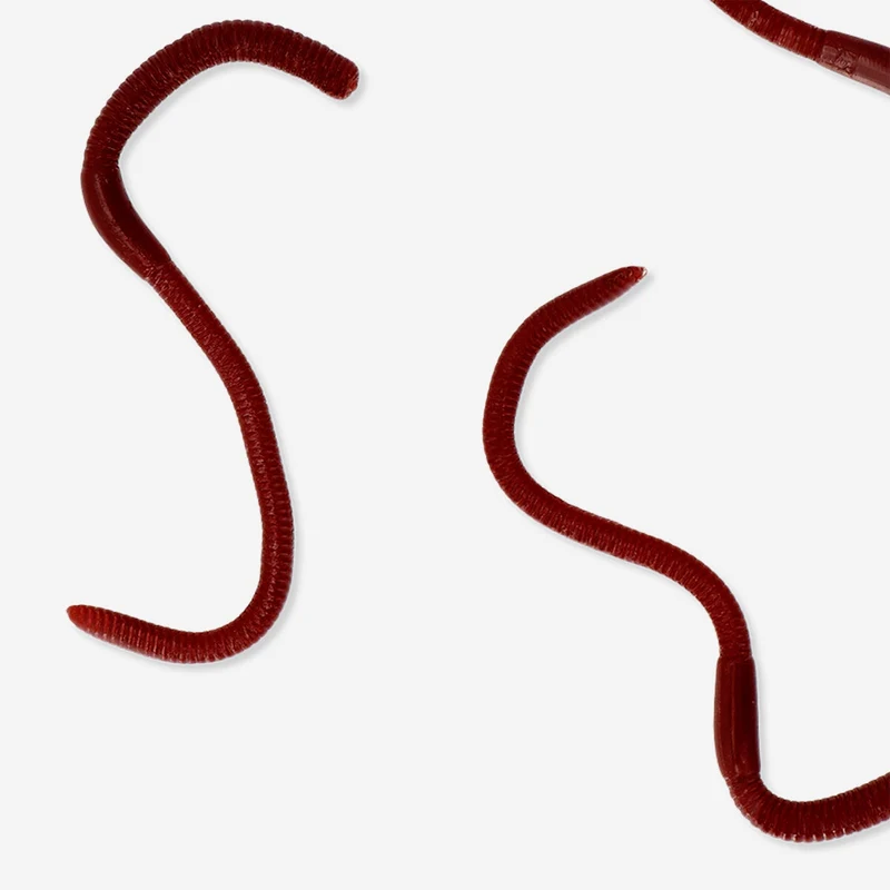 Sticky worms in a box - 4 pcs