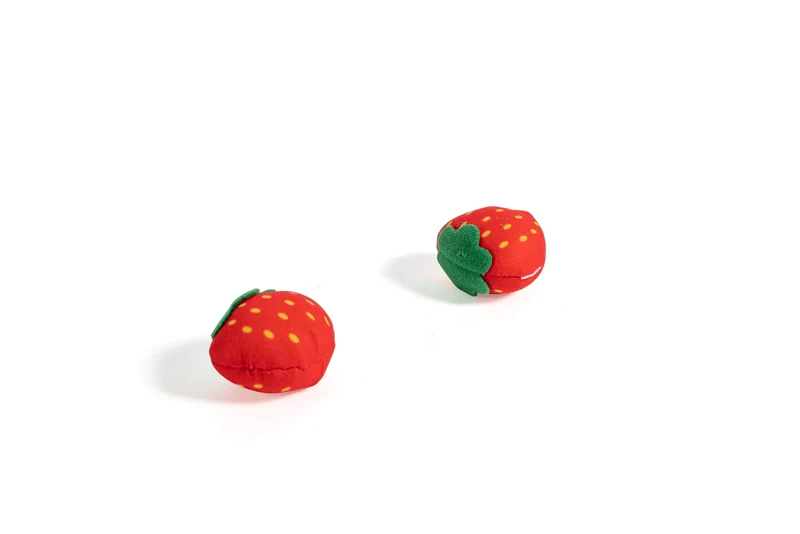 Set de Picnic · Hape