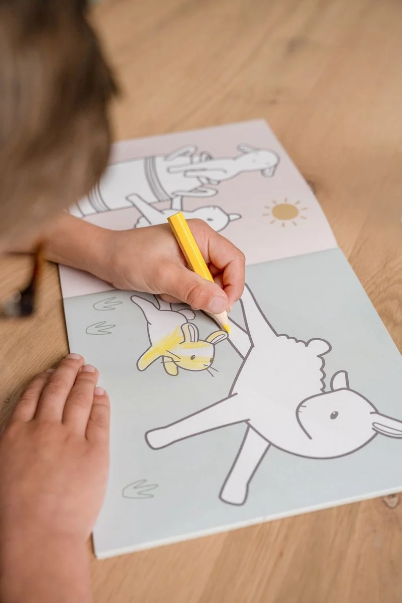 Libro colorear Pequeña Granja · Little Dutch