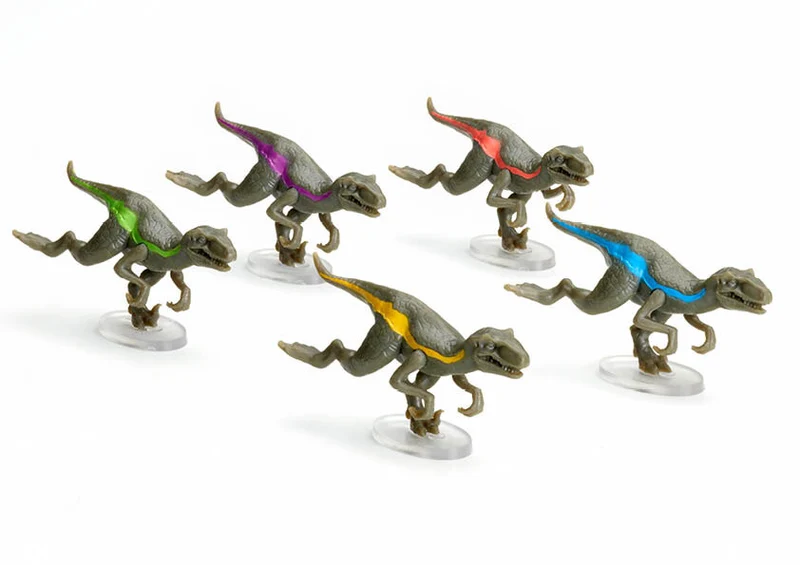 Raptor Race · FlexiQ