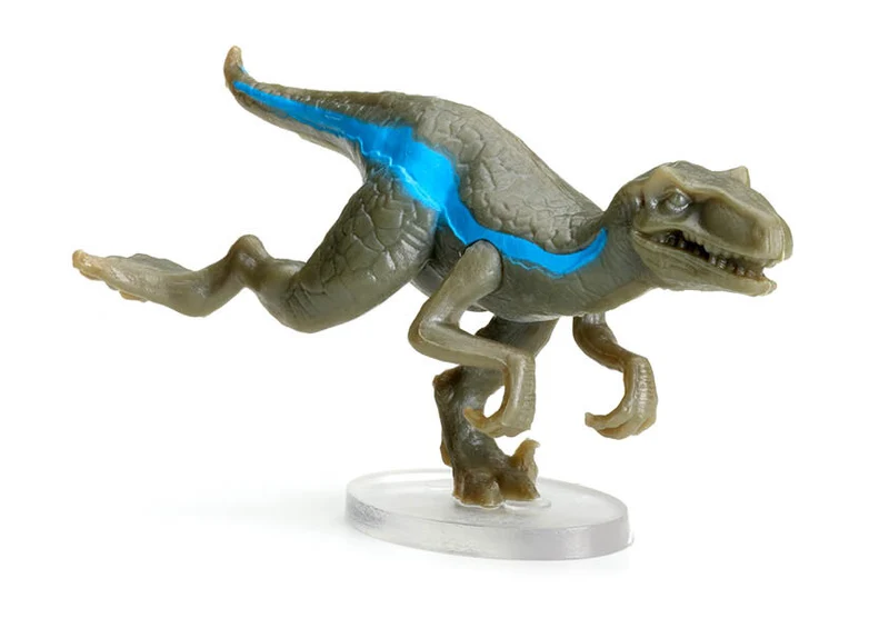 Raptor Race · FlexiQ
