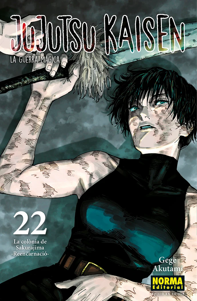 Jujutsu Kaisen 22 (CAT)
