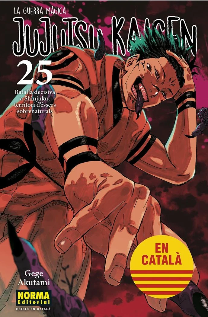 Jujutsu Kaisen 25 (CAT)
