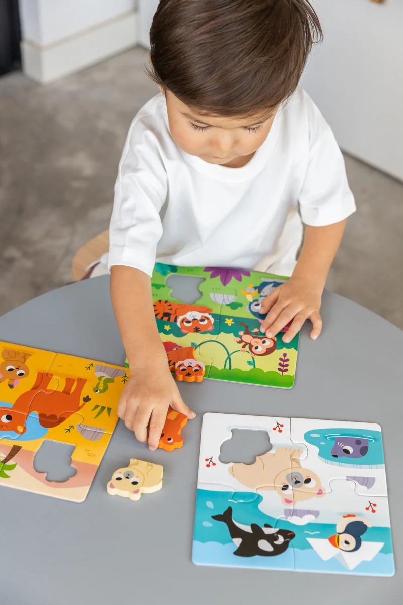 6 Habitat Puzzle