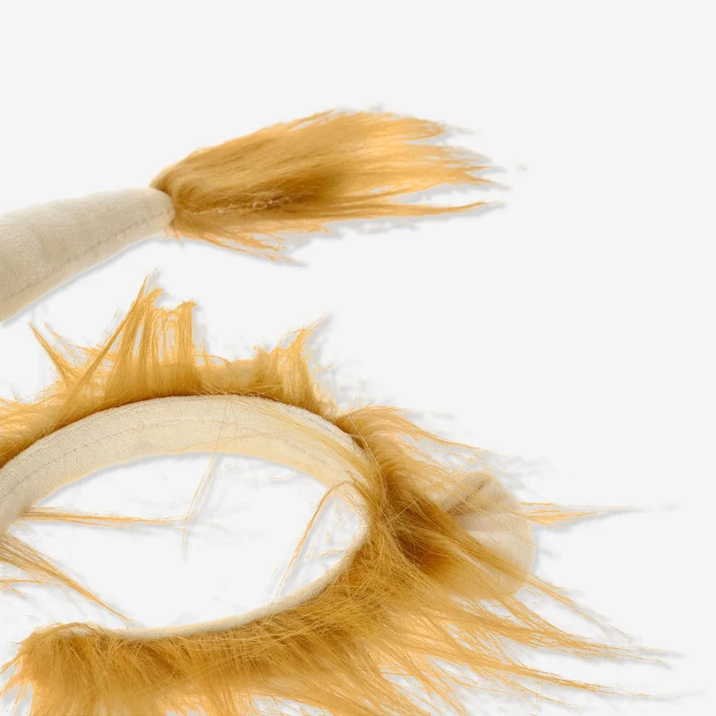 Costume lion accessories. For kids