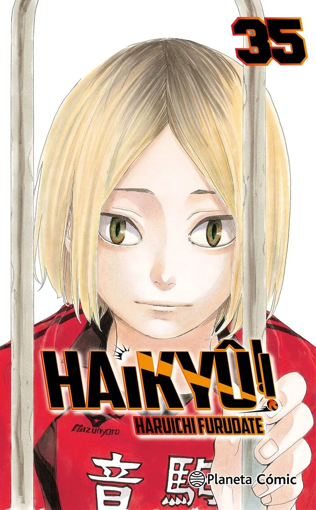 Haikyu 35 (ES)