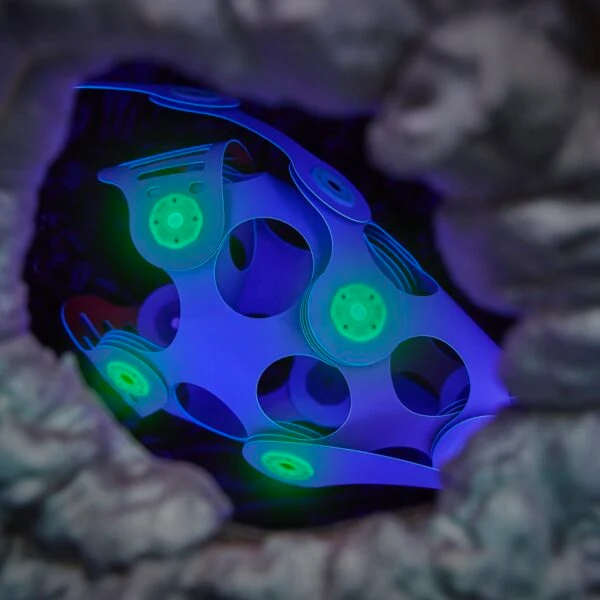 Ocean Creatures Pack · Clixo