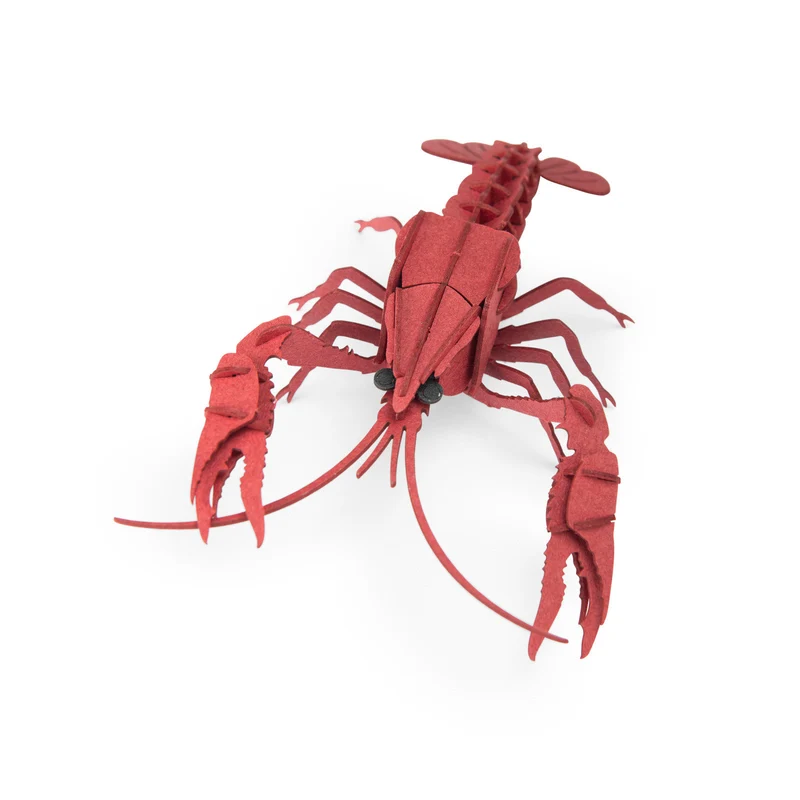 Puzzle 3D Cangrejo de Río autour du monde · Moulin Roty