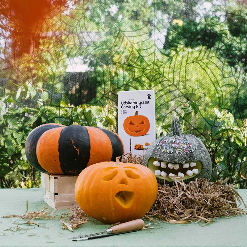Carving kit
