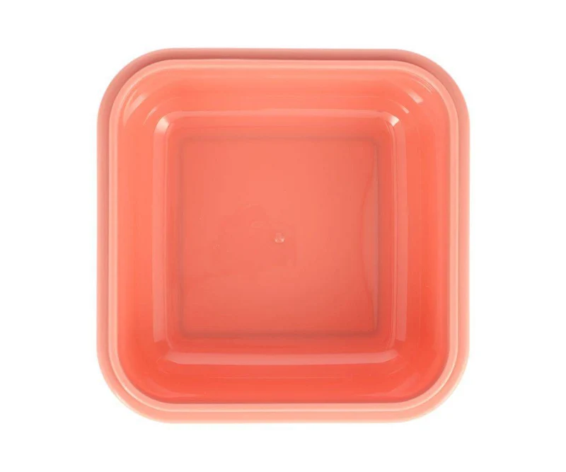 Caja Almuerzo Grande Wild Fairies
