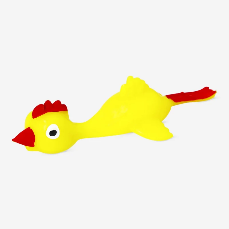 Shooting chicken