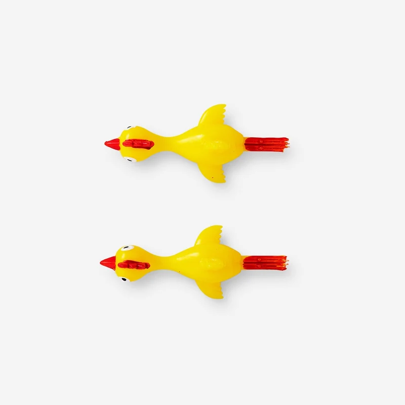Shooting chicken