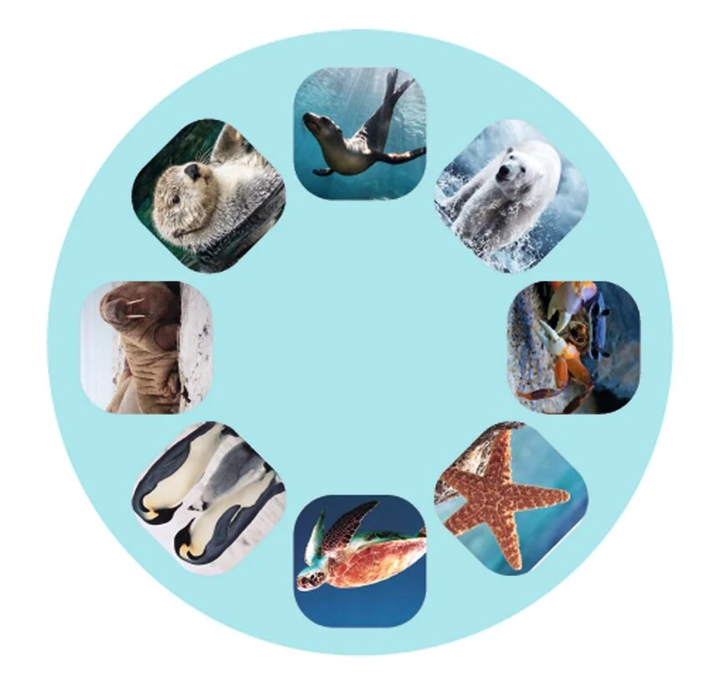 Linterna diapositivas Criaturas Marinas · Moses