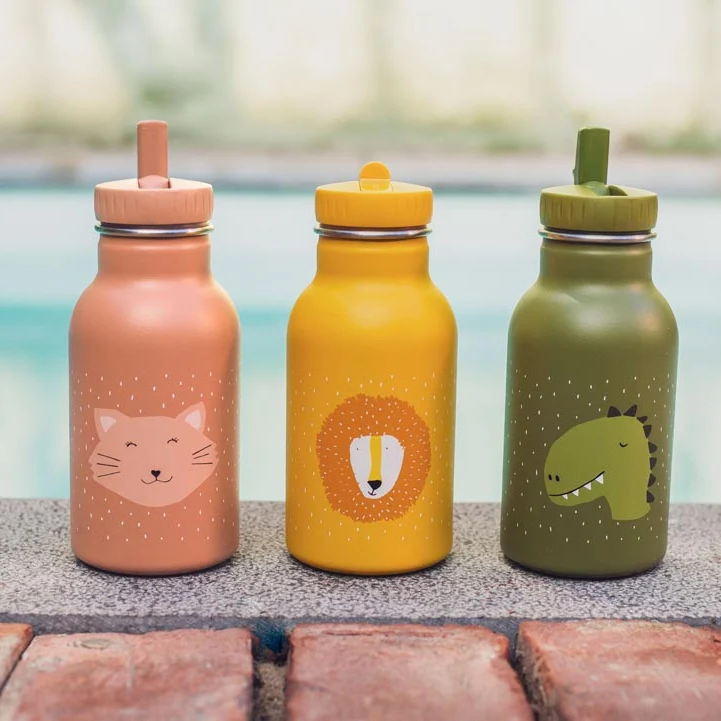 Botella Acero Mr. Dino 350ml · Trixie