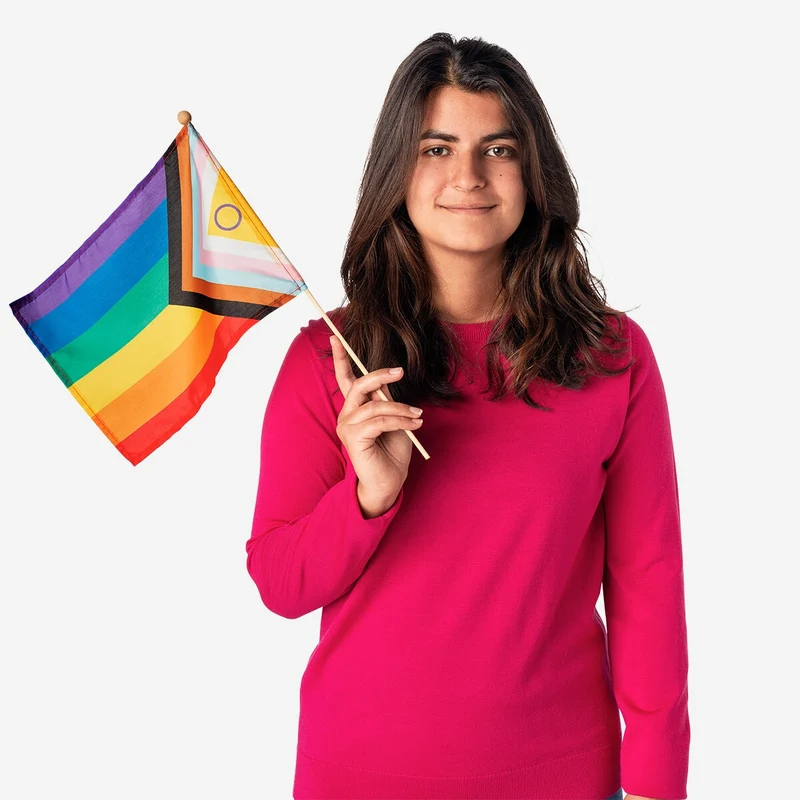 Rainbow flag on a stick - 45 cm