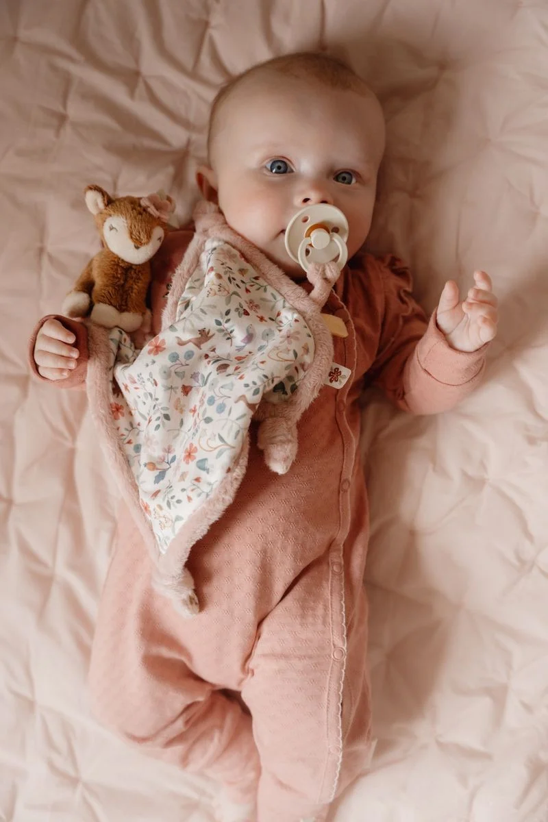 Doudou Fairy Garden · Little Dutch