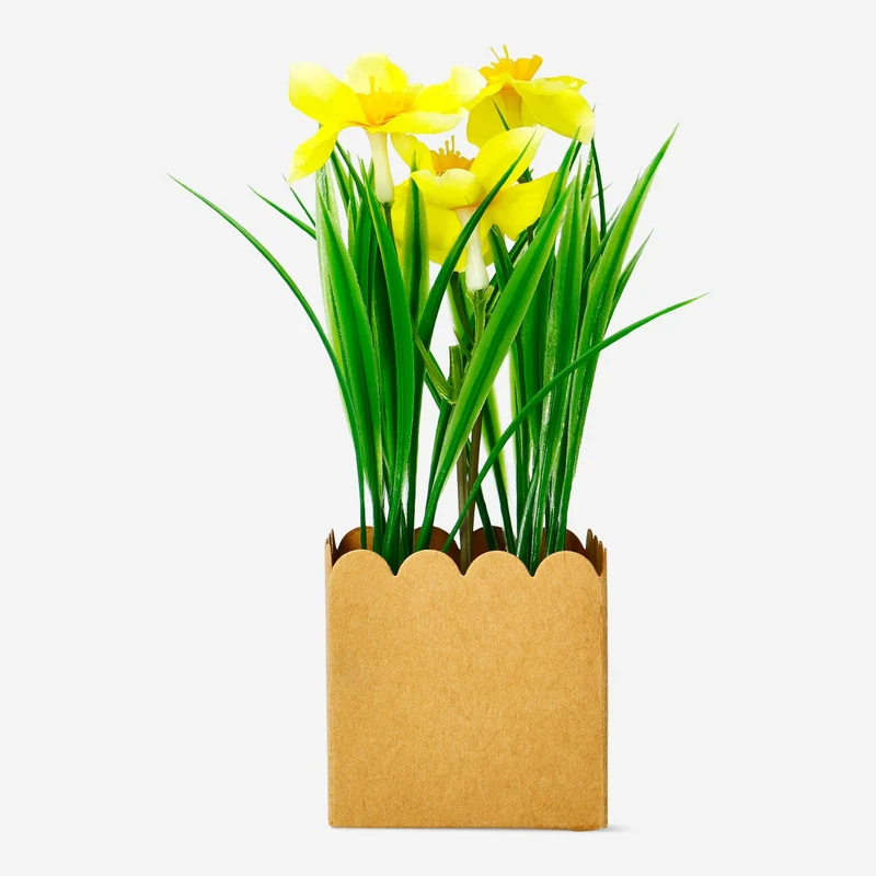 Decorative daffodil flower