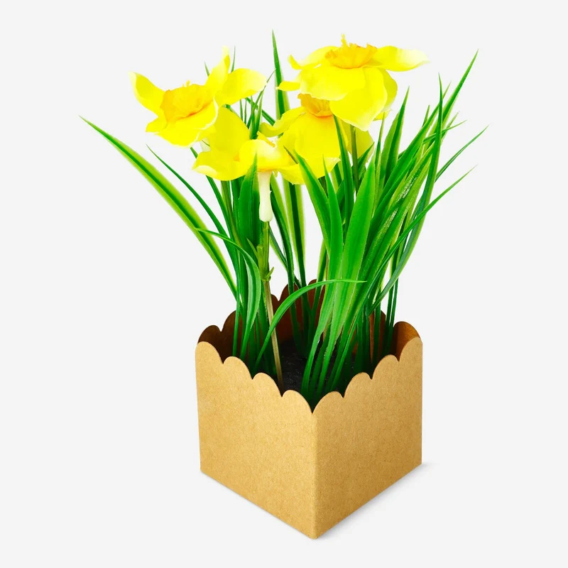Decorative daffodil flower
