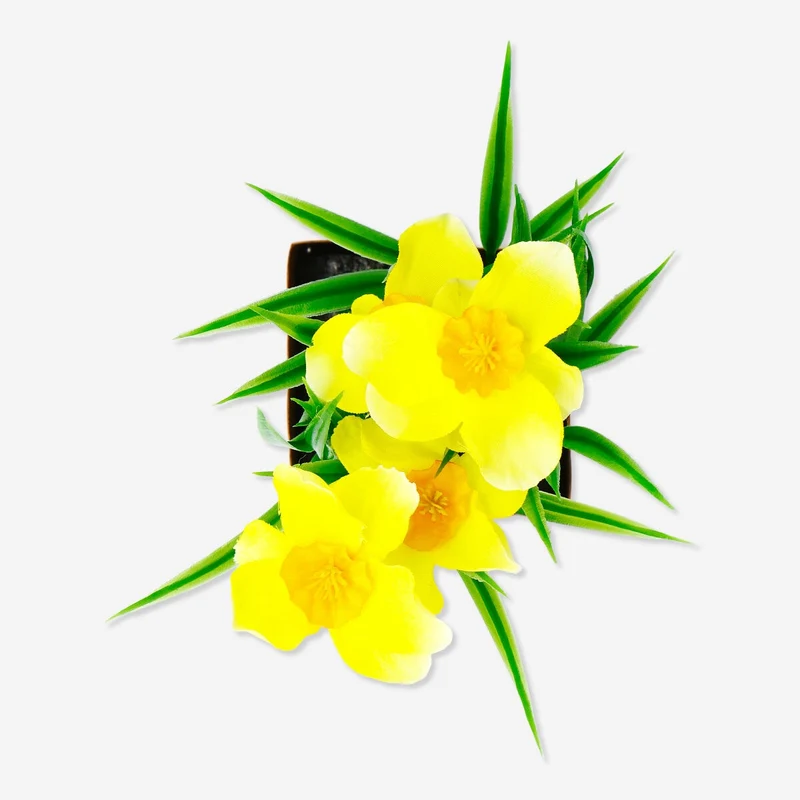 Decorative daffodil flower