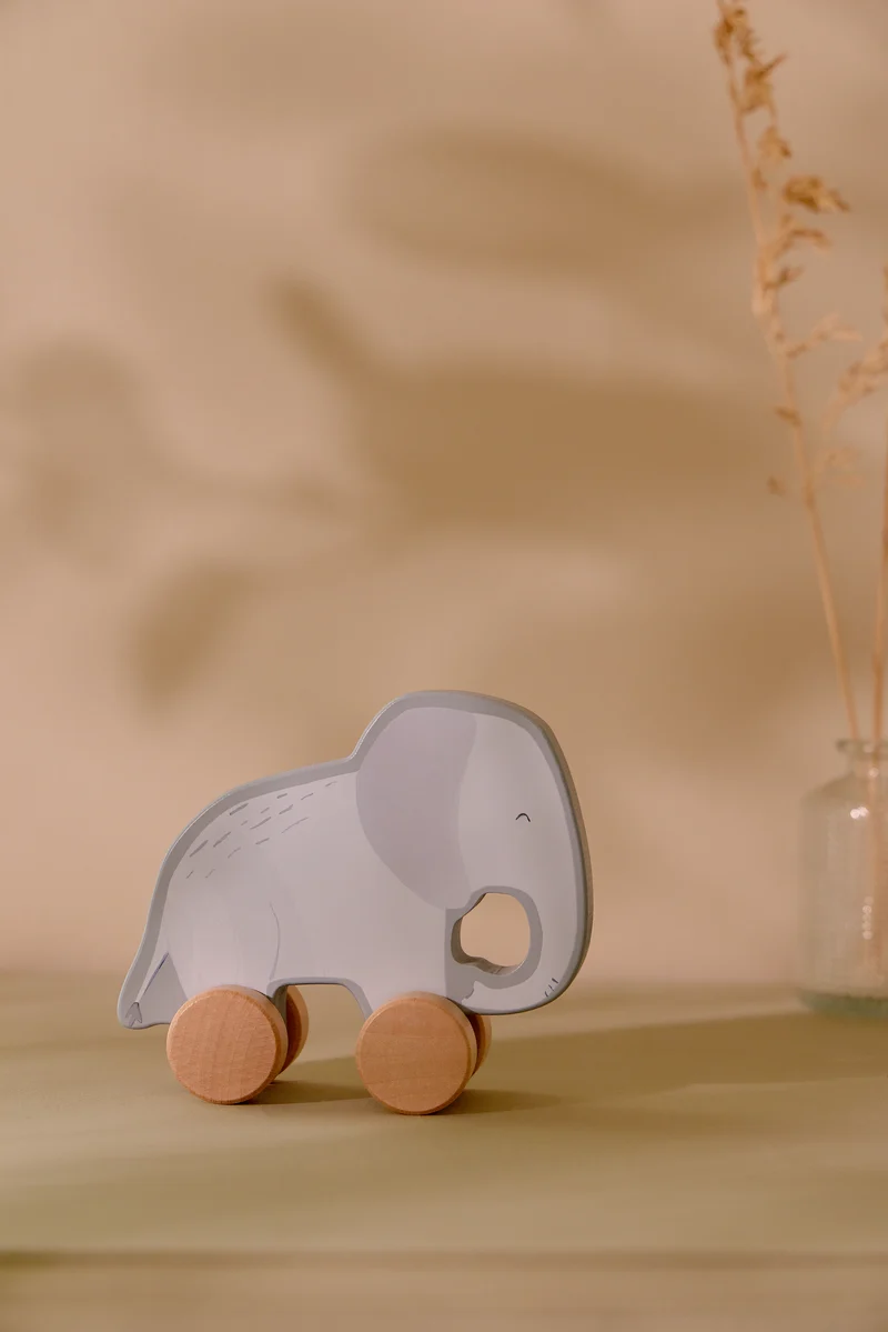 Caja Regalo Madera Safari Friends · Little Dutch
