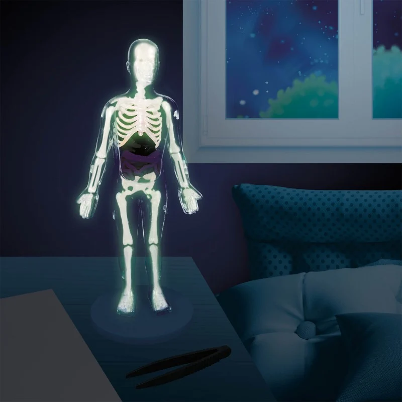 Cuerpo Humano · Buki