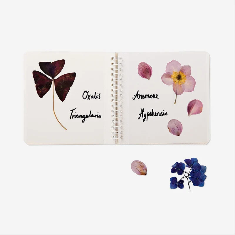 Flower press kit