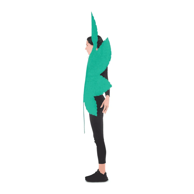Disfraz de Hoja de hierba one size adult adulto talla TALLA ÚNICA
