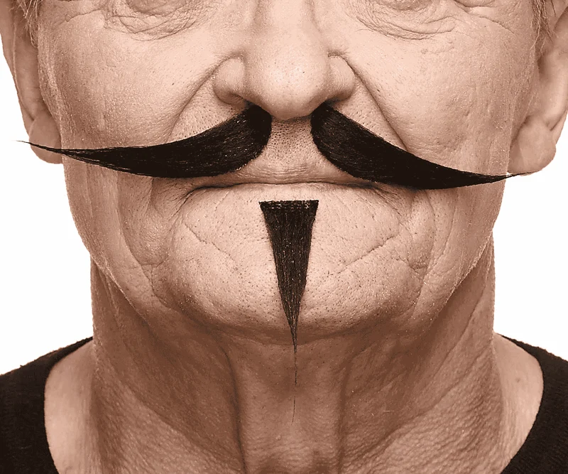 Bigote y perilla para disfraz