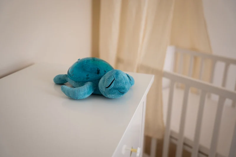 Tranquil Turtle · Cloud B