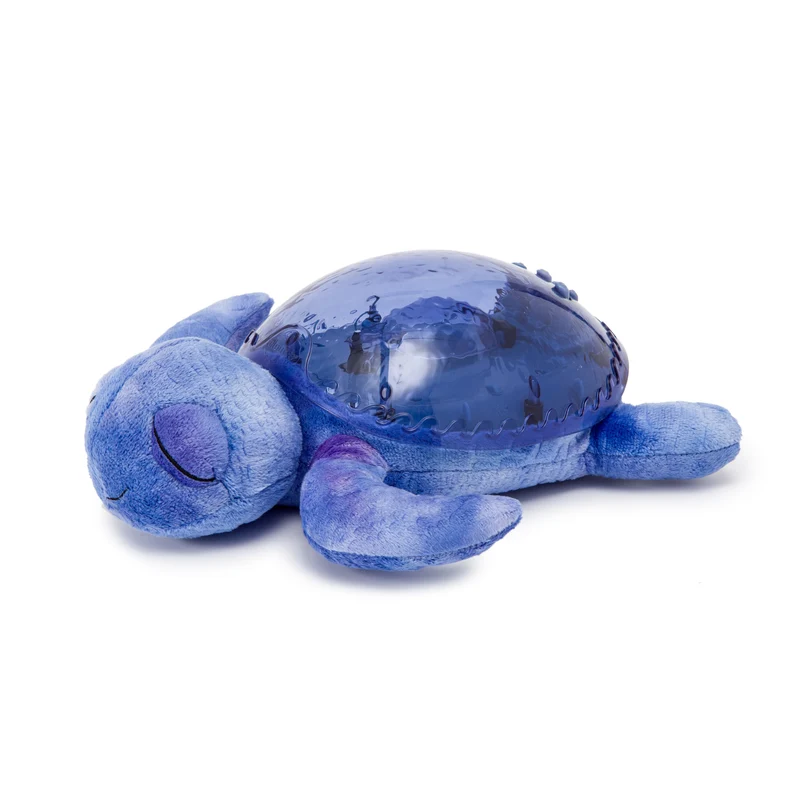 Tranquil Turtle · Cloud B