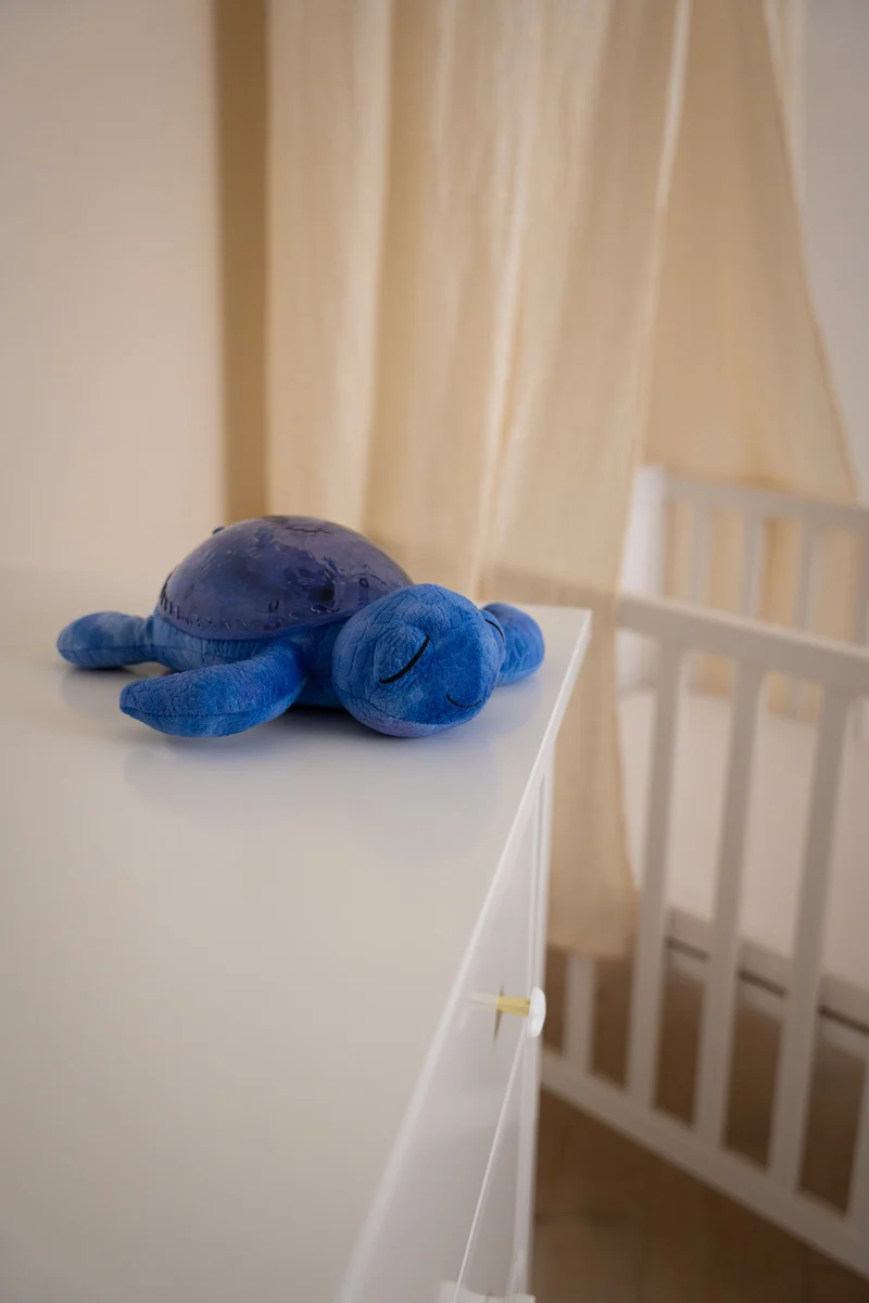 Tranquil Turtle · Cloud B