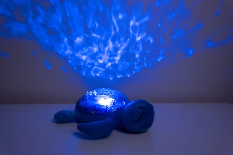 Tranquil Turtle · Cloud B