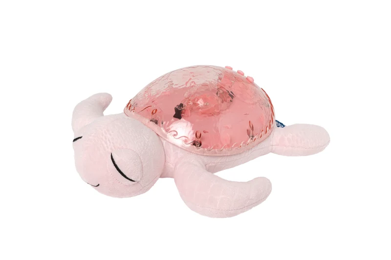 Tranquil Turtle · Cloud B