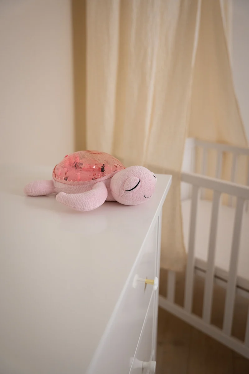 Tranquil Turtle · Cloud B