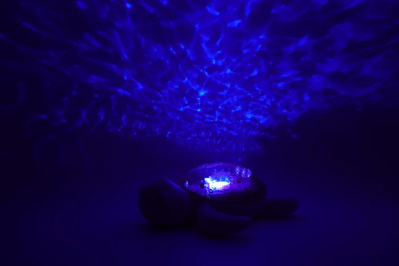 Tranquil Turtle · Cloud B