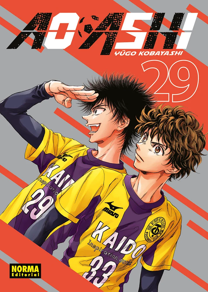 Ao Ashi 29 (ES)