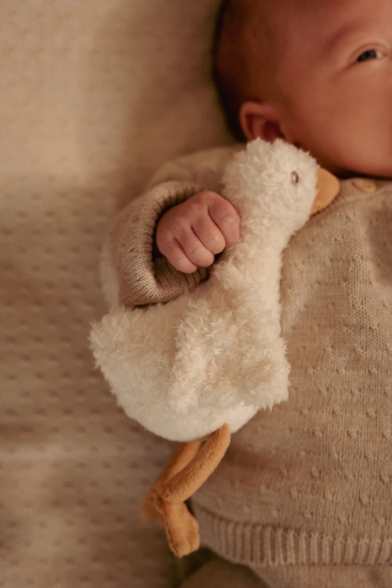Caja Regalo Newborn Naturals · Little Dutch