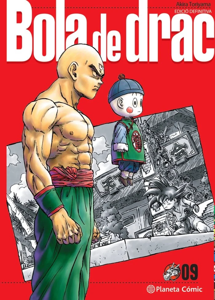 Bola de Drac Definitiva 9 (CAT)