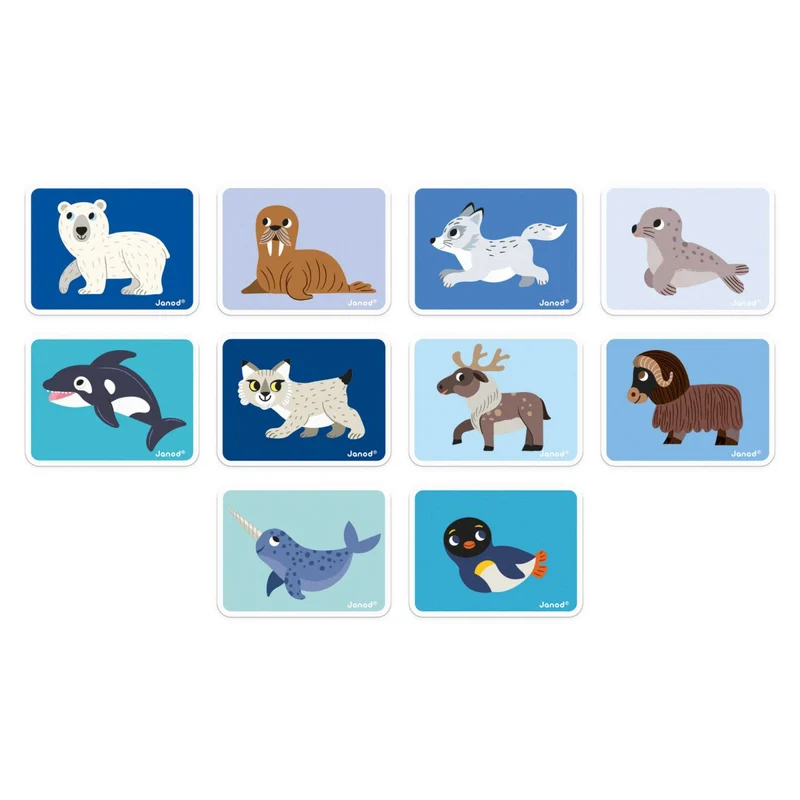 Magneti'Book Animales polares · Janod