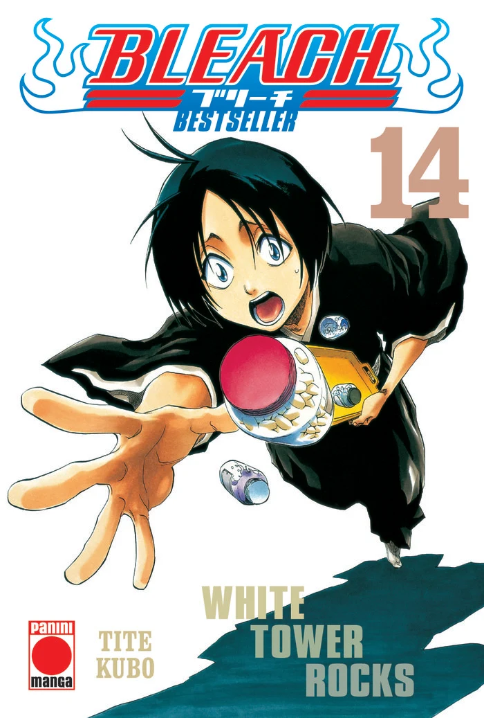 Bleach Bestseller 14 (ES)