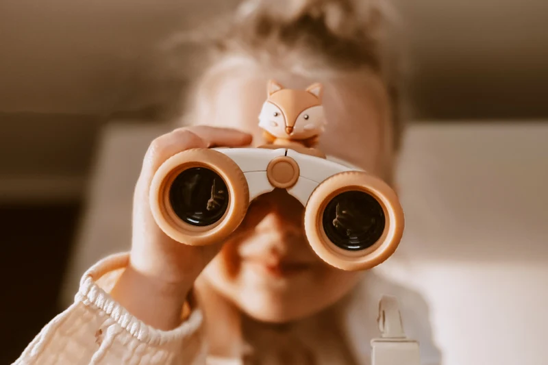 Zoo Eyes Fox · Zoofamily