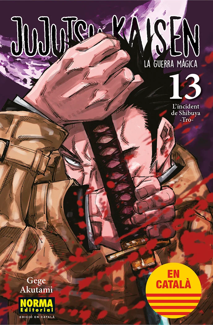 Jujutsu Kaisen 13 (CAT)