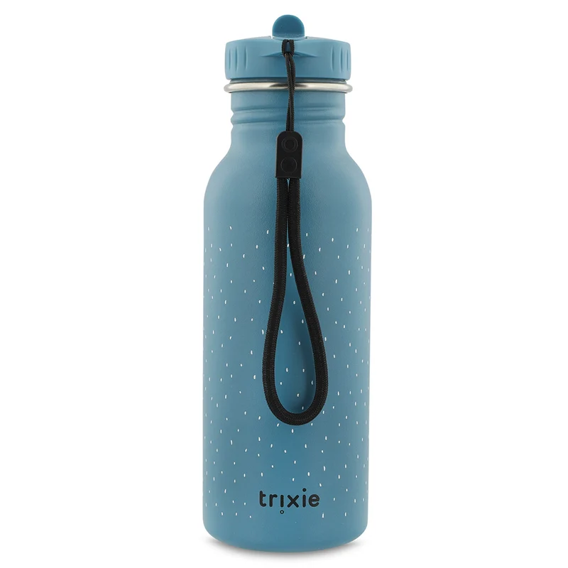 Botella Acero Mr. Triceratops 500ml · Trixie
