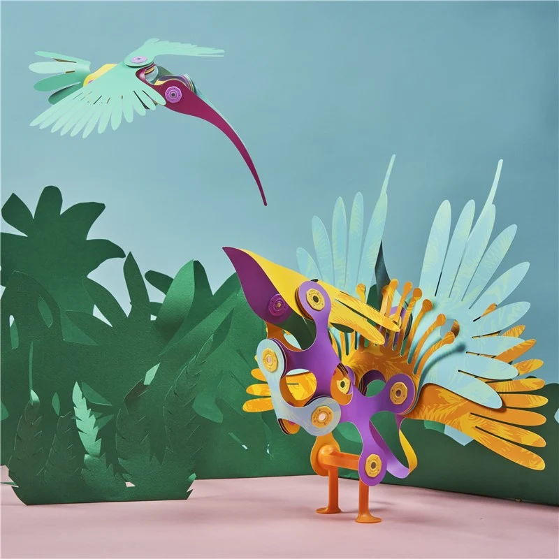 Tropical Birds · Clixo
