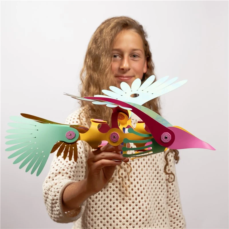 Tropical Birds · Clixo