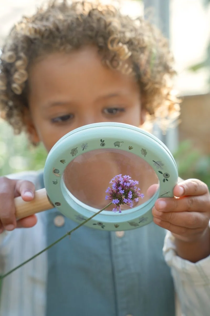 Lupa Forest Friends FSC · Little Dutch