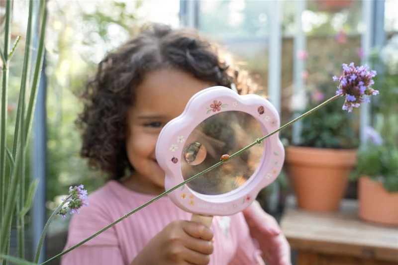 Lupa Fairy Garden FSC · Little Dutch
