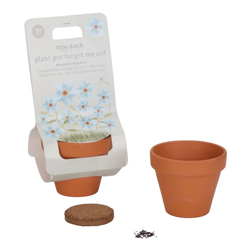 Maceta planta No me Olvides · Little Dutch